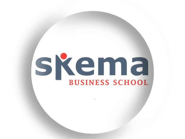 https://www.art-and-management.com/wp-content/uploads/2019/09/art-et-management-client-logo-skema-640x480.png